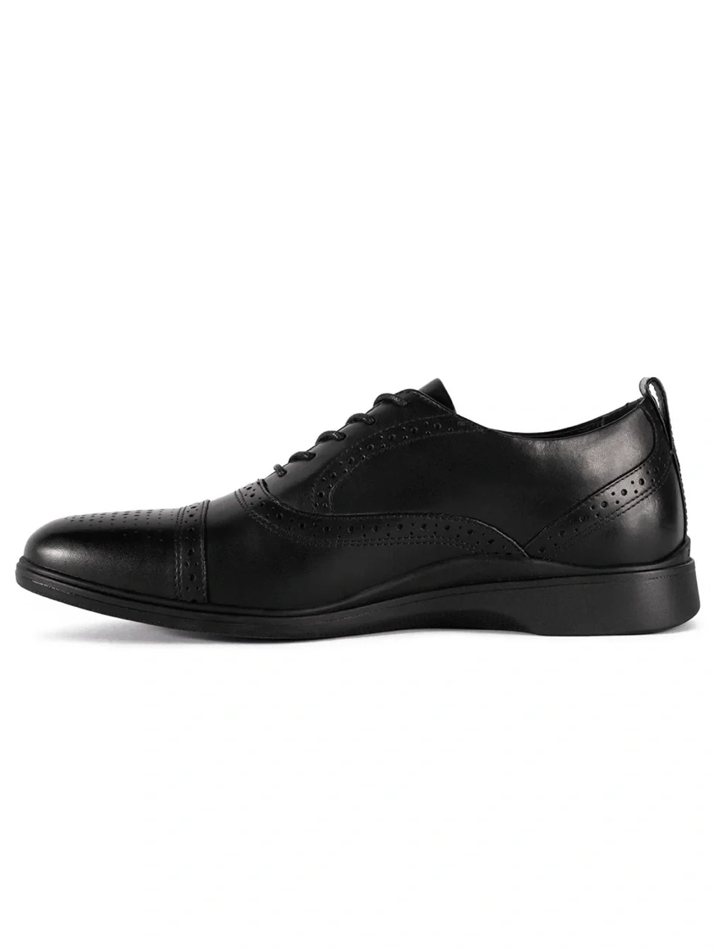 Amberjack Cap Toe Oxford Chesnut